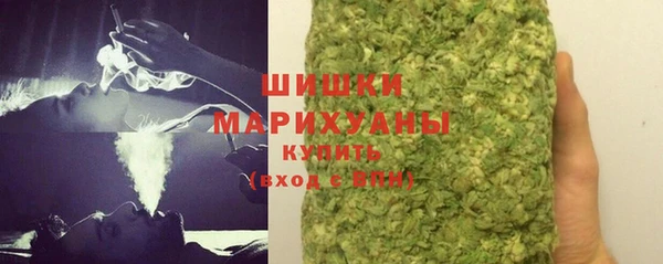 прущие грибы Нефтекумск