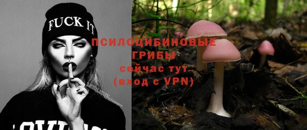 твердый Аркадак