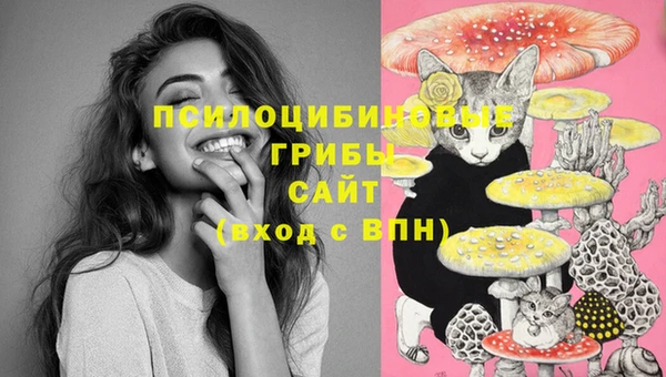 первитин Арсеньев