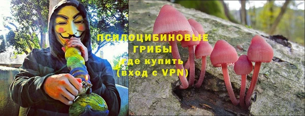 прущие крисы Армянск